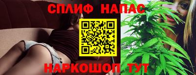 гидропоника Сланцы