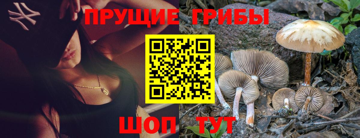 Галлюциногенные грибы ЛСД  Вход с VPN  Галлюциногенные грибы MAGIC MUSHROOMS  Ревда 